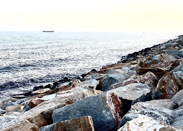 Lägenhet El Molino Torrevieja